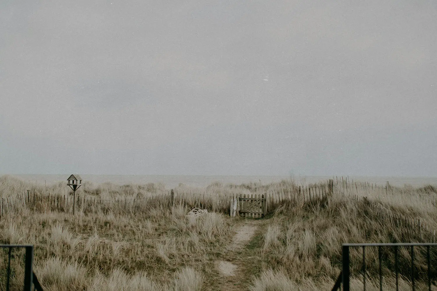 Narrow sandy path leading through tall beach grass toward a faded wooden gate under a gray sky