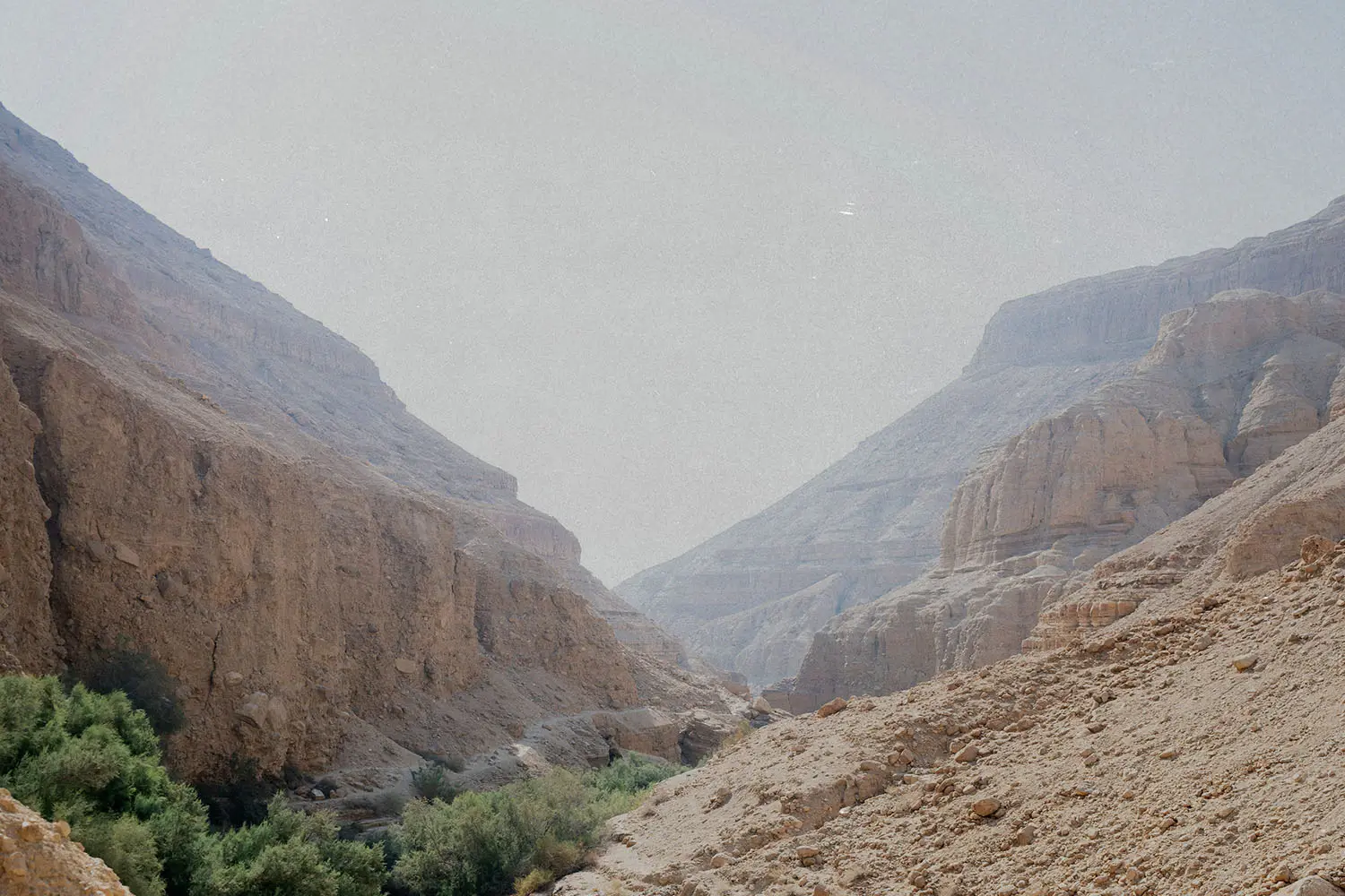 Valley of trees in the mountains