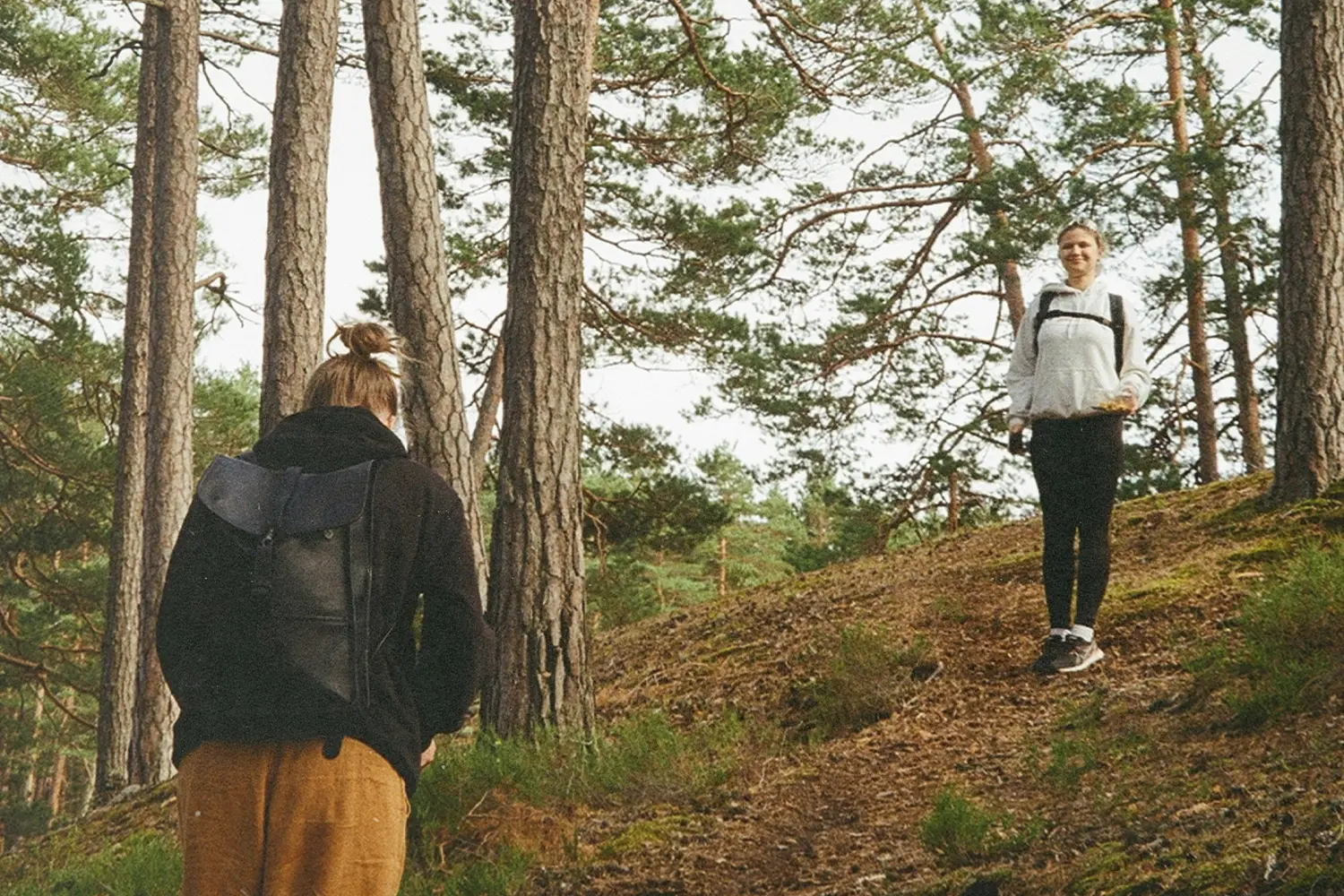 wo people walking through a forested trail surrounded by tall pine trees and grassy undergrowth