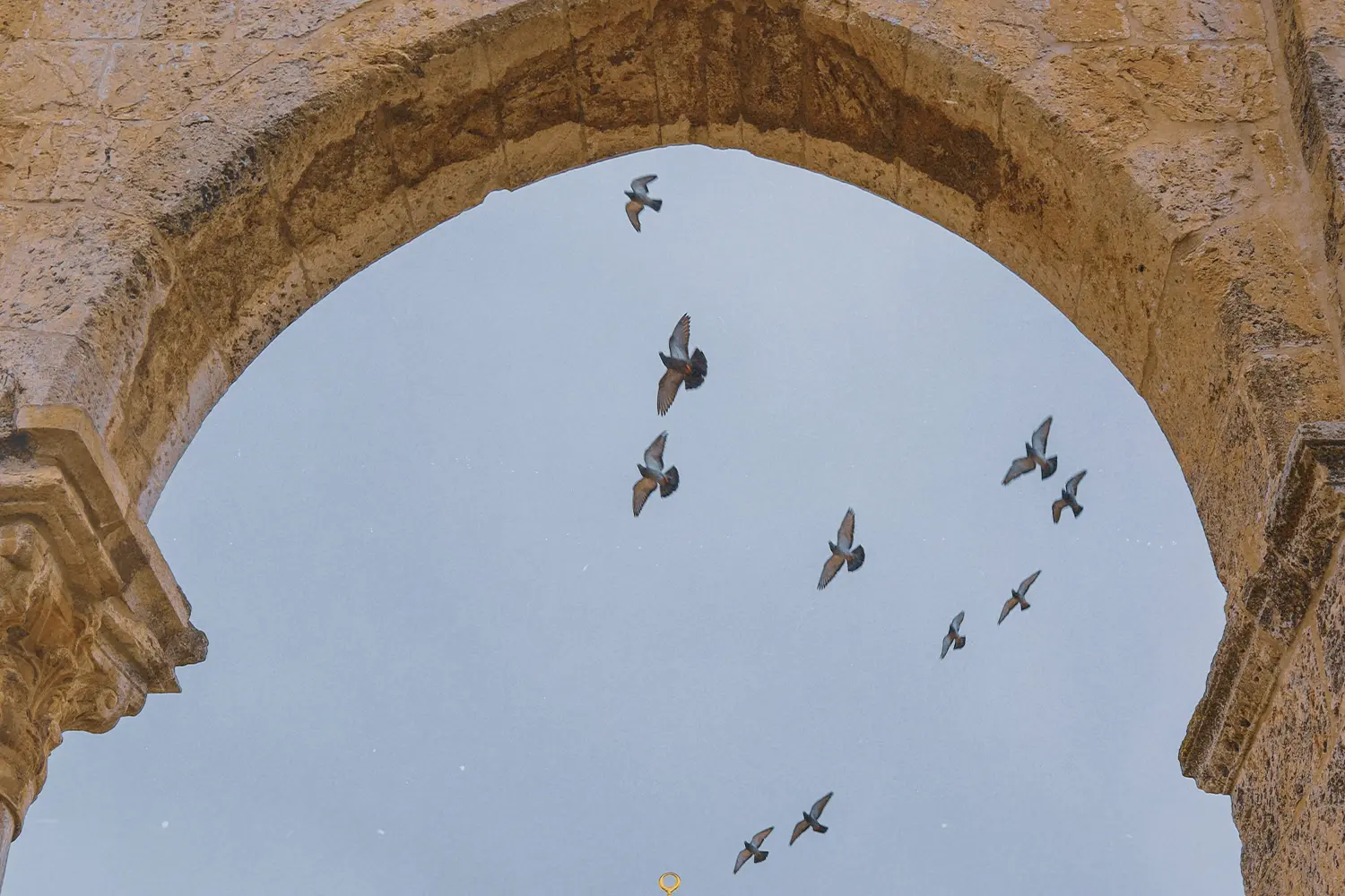 Sky view of an arch with birds flying above