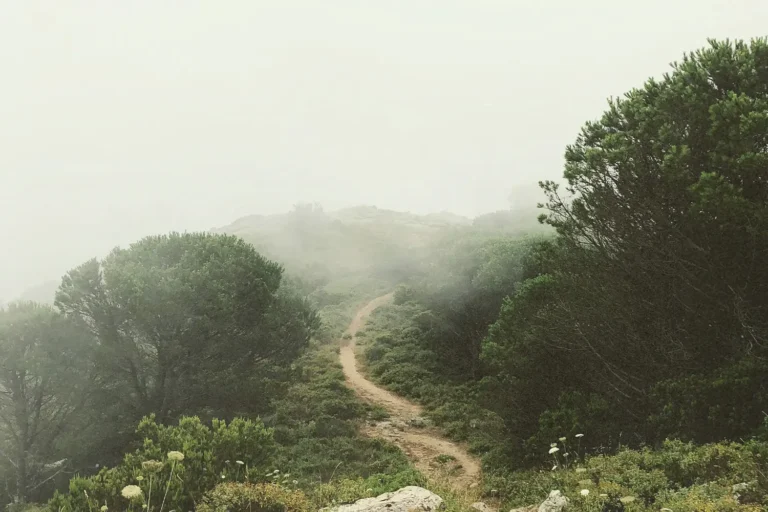 Word of The Week: God and His Faith Are In Your Past, Present and Future