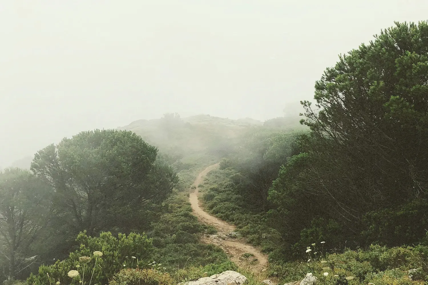 dirt road to top of hill in fog