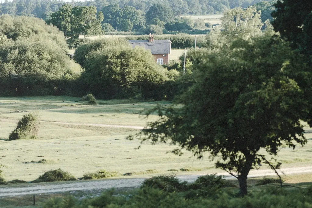 Peaceful countryside landscape with open grassy fields, dense trees, and a small house partially hidden by foliage