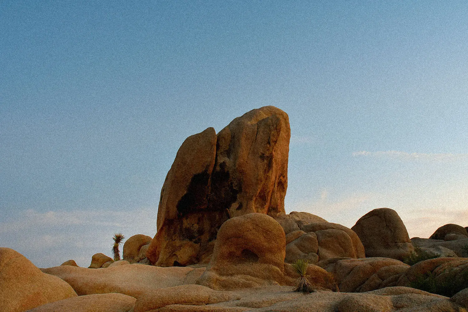 rock formations in a desert