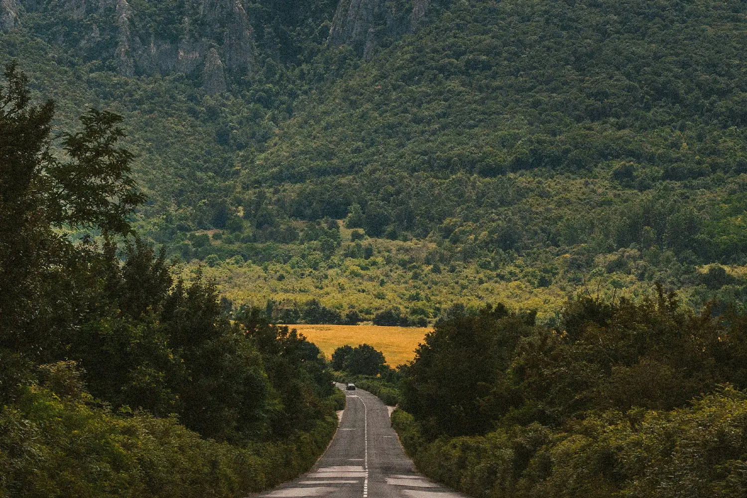 road descending into a green valley with trees on either side