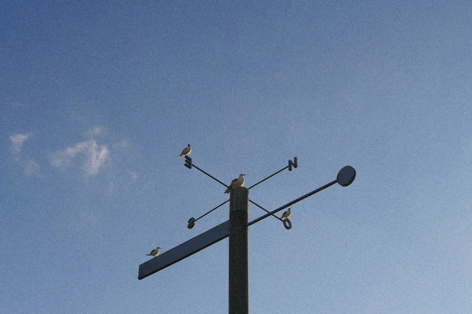 weathervane