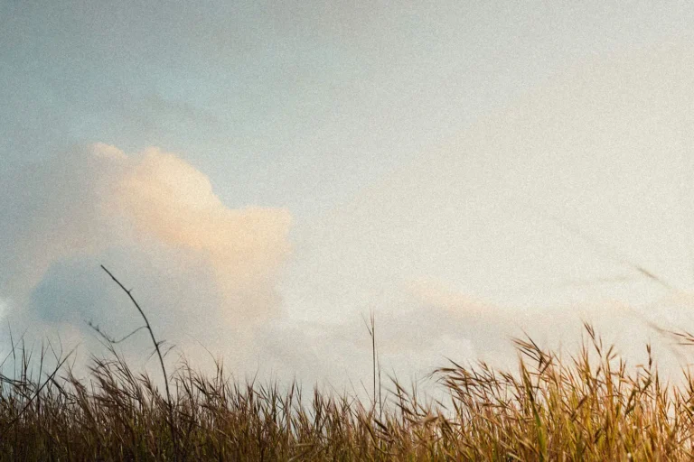 Word of the Week: The WORD of God Is Your Medicine