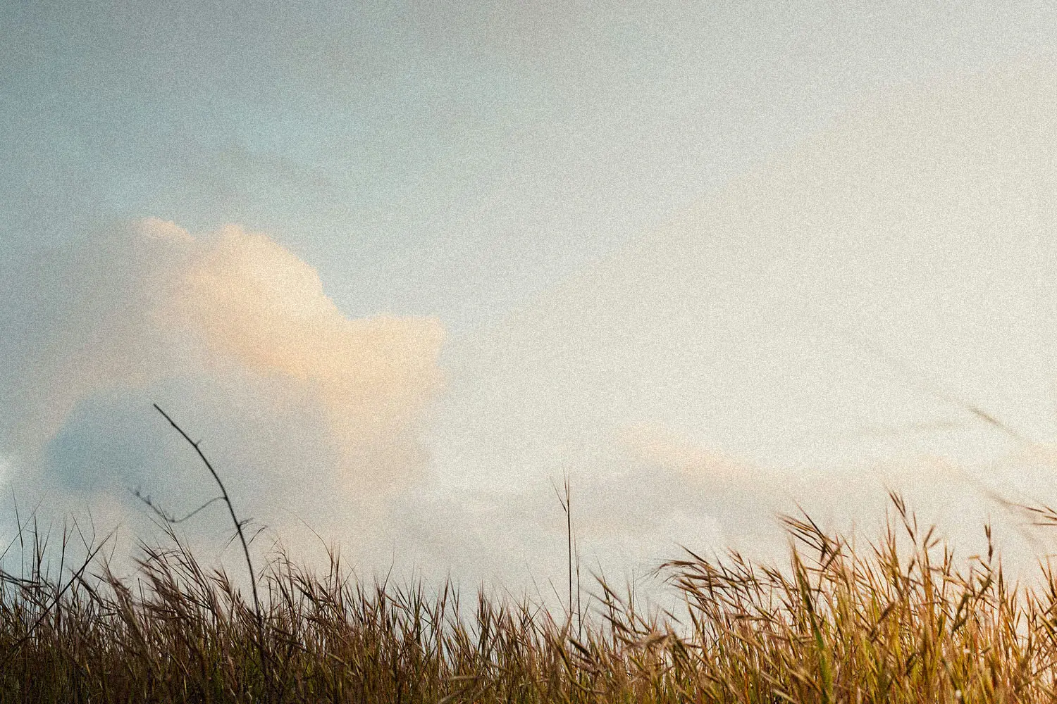Sunset sky and a grass field