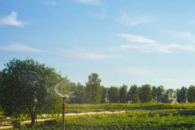 5 Reasons Why It’s God’s Will To Heal You