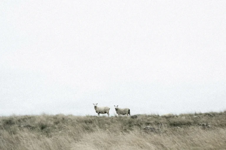 Have Faith In the Blood