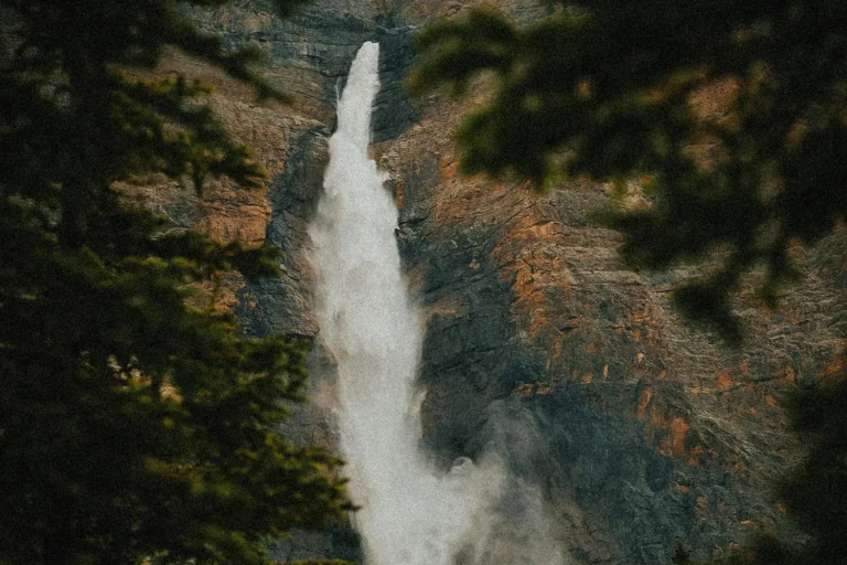 Word of the Week: God’s Commandments for Healing and Divine Health