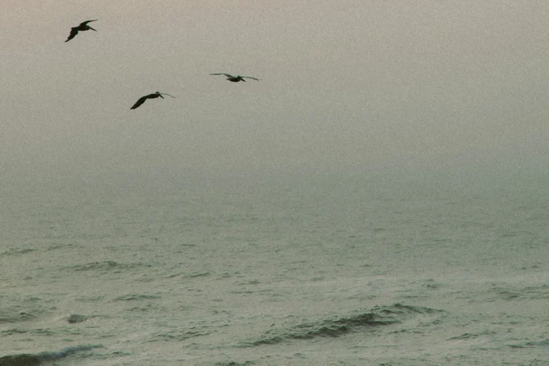 How Are You Living a Life of Faith