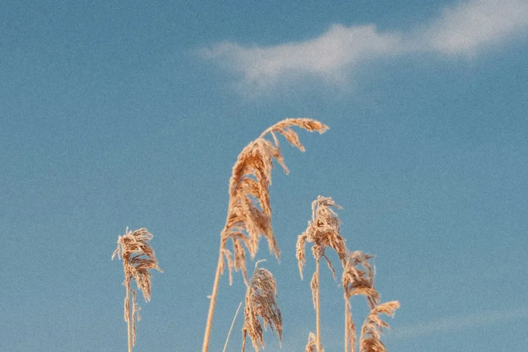 Word of the Week: 10 Days of Healing – Part 2