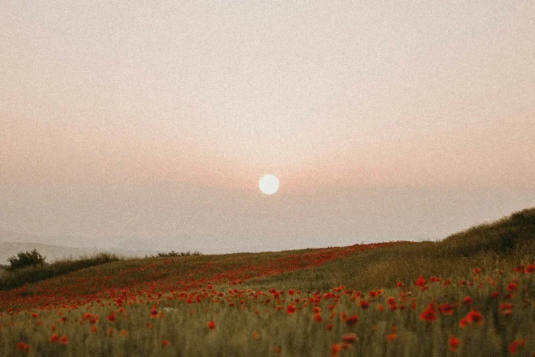 Covenant—God’s Language of Love