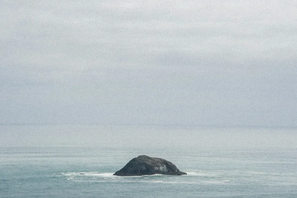 land peeking out of the water