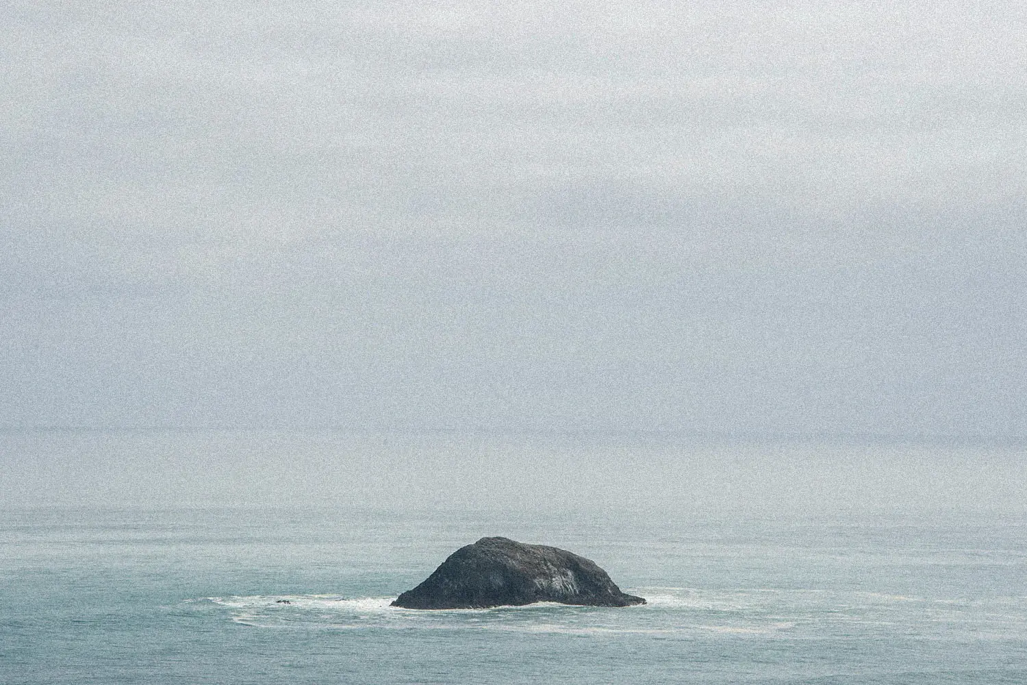 land peeking out of the water