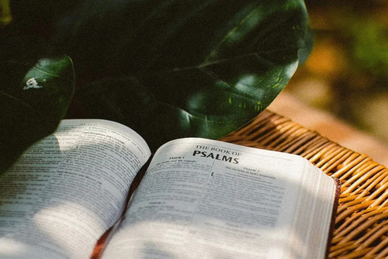 Psalm 91 | A Response to Fear