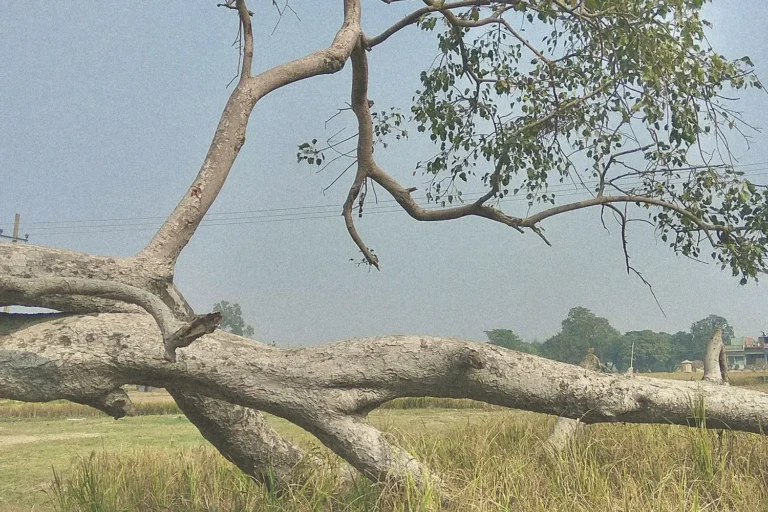 Word of the Week: Our Core Values – Part 2