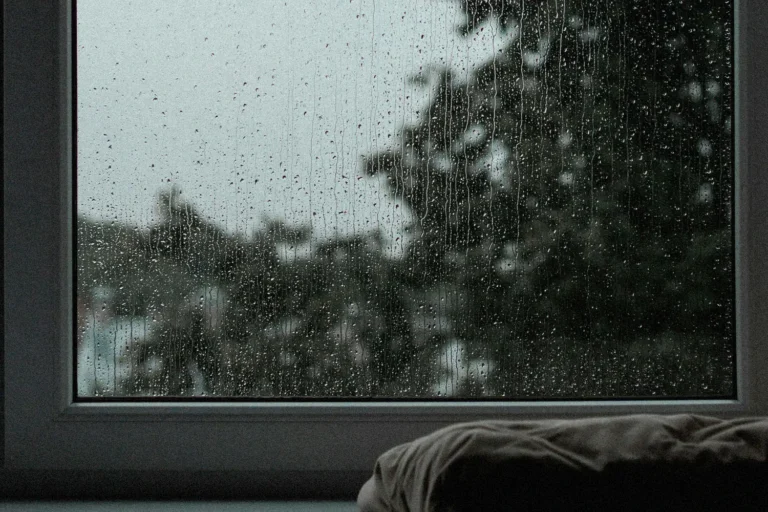 How To Let the Word Fight for You