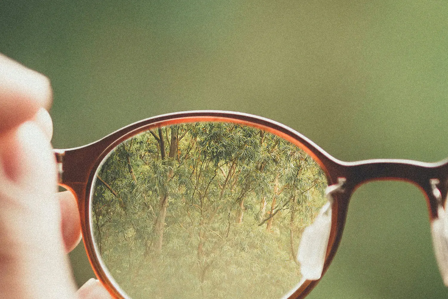 Left glasses lens with trees in focus and a blurred background