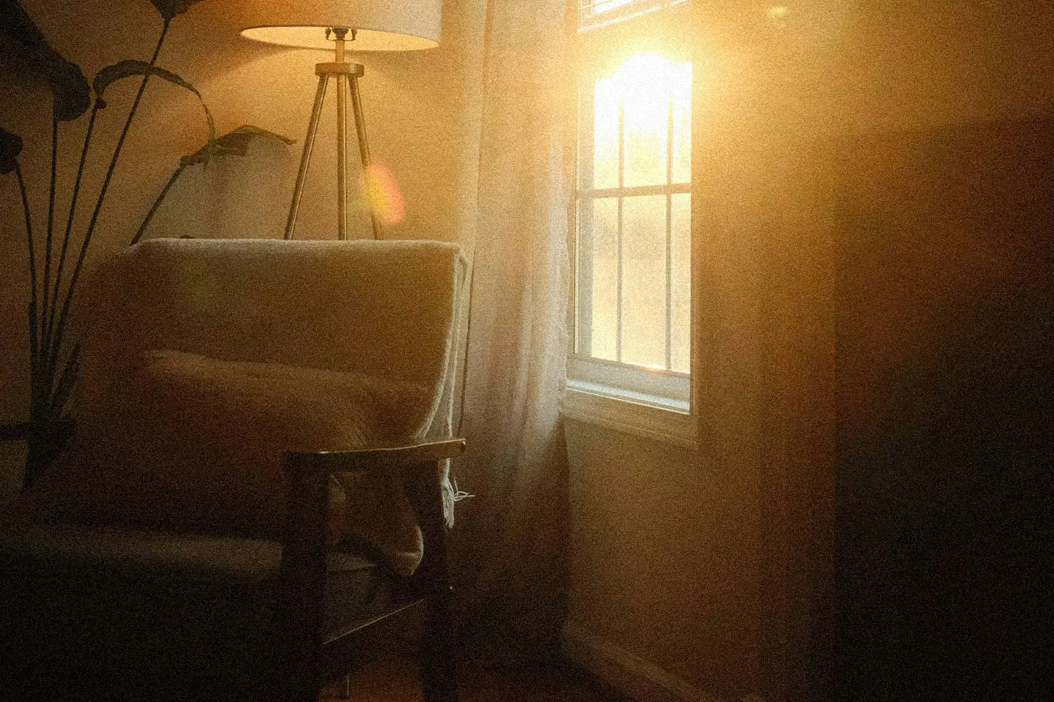 Sunlight shining through living room window