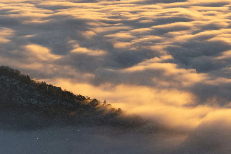 Word of the Week | End-Time Warnings and Instructions, Part 2