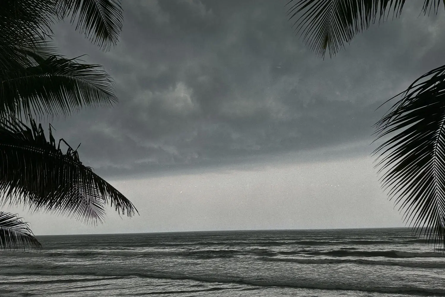 Ocean shore with dark clouds forming and palm trees blowing in the wind