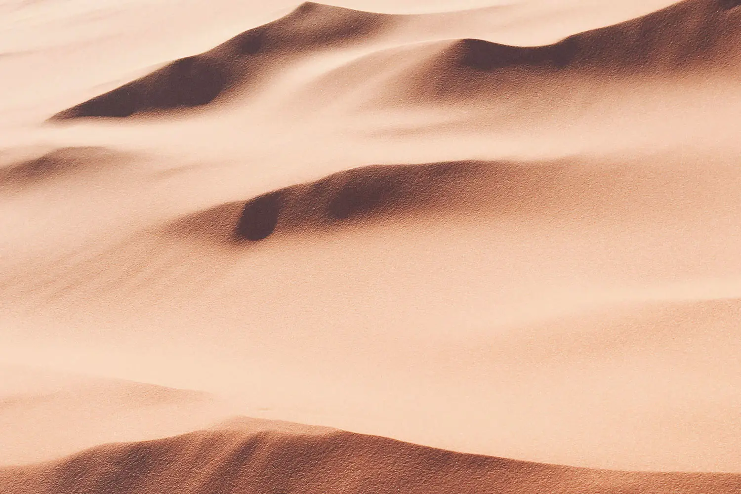 Desert sand dunes