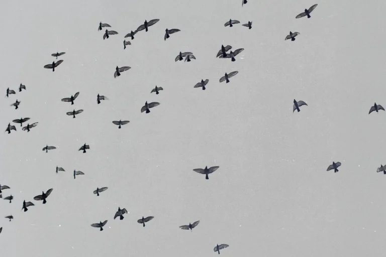 Word of the Week: The WORD of God Is Medicine to You