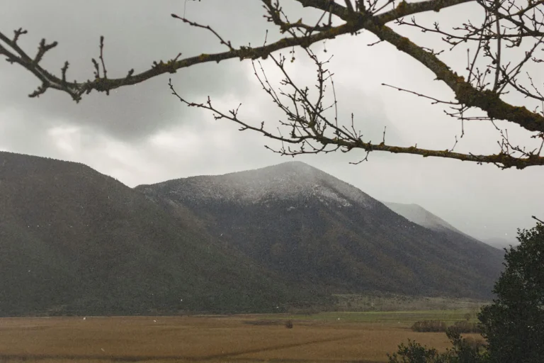 The 2025 Branson VICTORY Campaign Is Still Changing Lives!