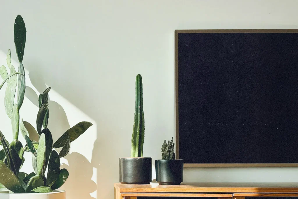 Indoor plants resting on a tv stand with a flat screen