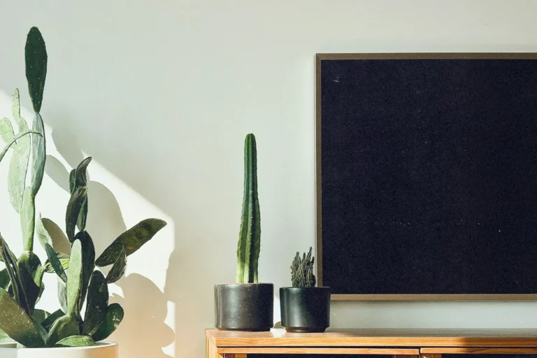 IMPORTANT FLASHPOINT UPDATE