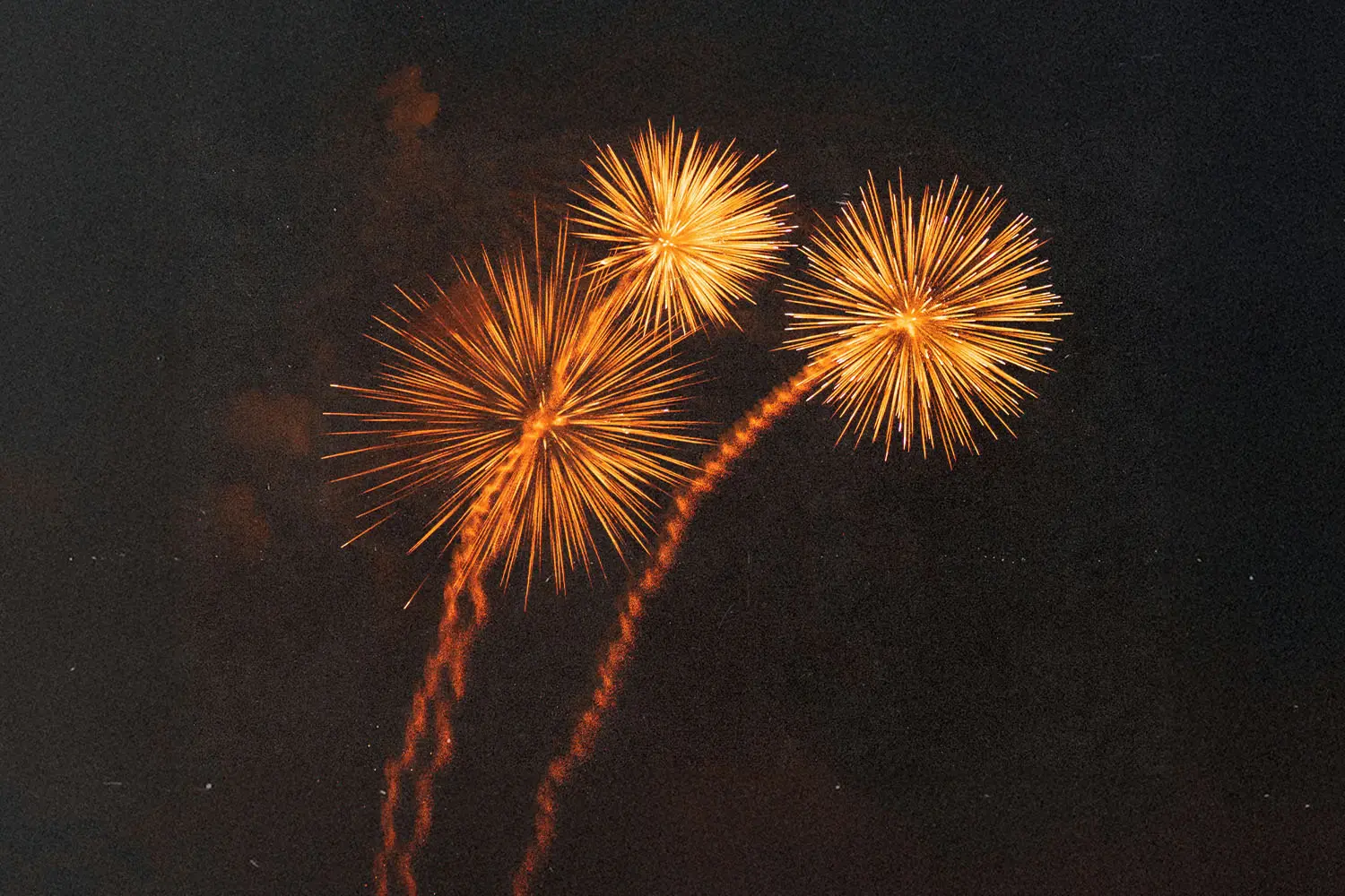 Fireworks in the clear night sky