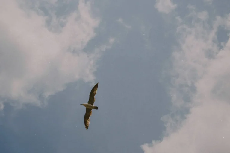 Create a Spiritual Checklist To Soar In Faith