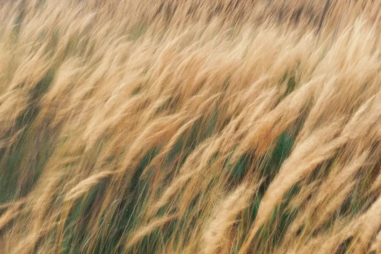 Single Mom Leaves the Federal Welfare System by Applying Biblical Truth