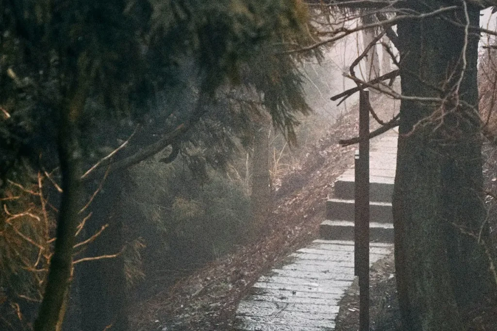 A misty stone pathway winding through dense trees, symbolizing the path to success and progress toward personal and professional goals.