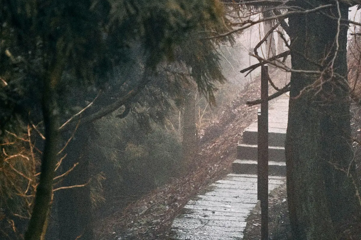 A misty stone pathway winding through dense trees, symbolizing the path to success and progress toward personal and professional goals.