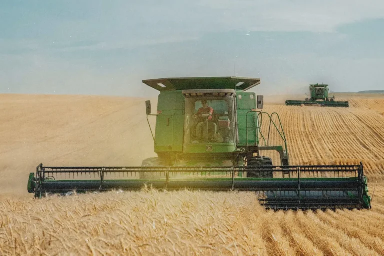 KCM Partner Causing the Powerful Canada Fires of Revival To Spread