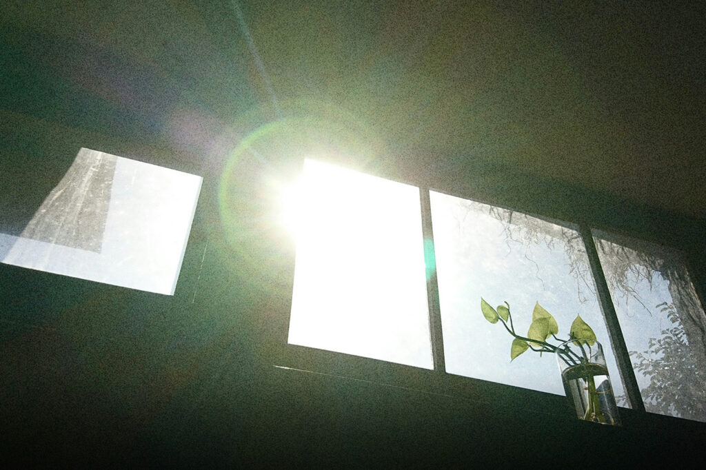 Sunlight shining through a window onto a small plant, symbolizing growth, peace, and the simple shifts that create a satisfied life.