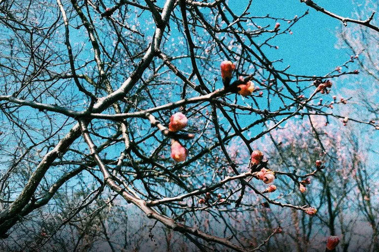 Preparing Your Heart for the Miracle You Need